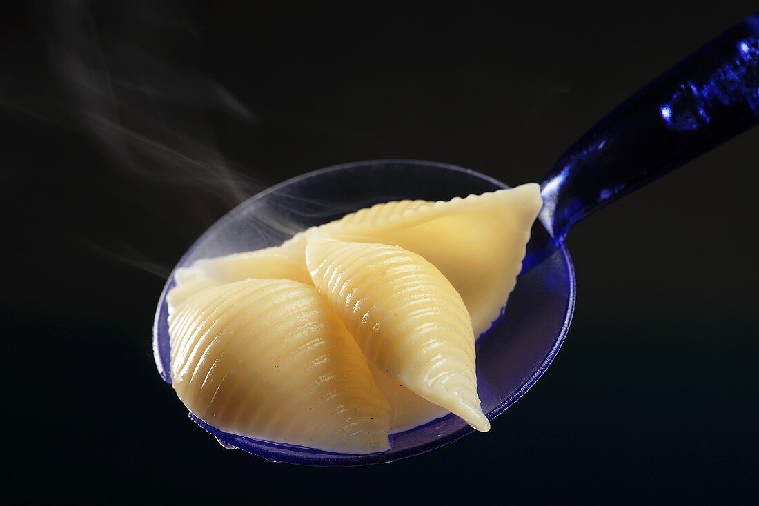 Cooked conchiglie on kitchen spoon