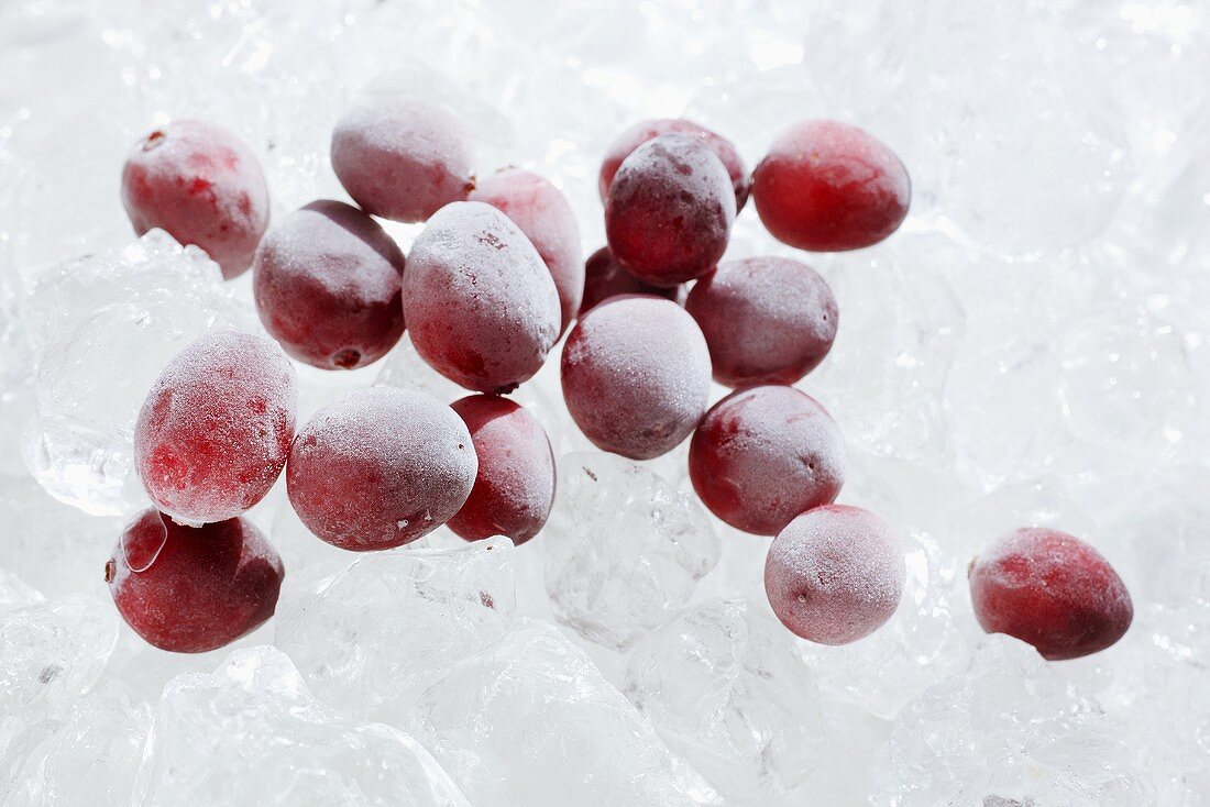 Several frozen cranberries on ice cubes