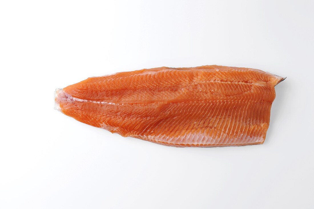 Salmon trout fillet