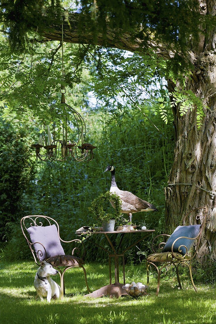 Garden furniture and dog in castle grounds (La Verrerie, France)