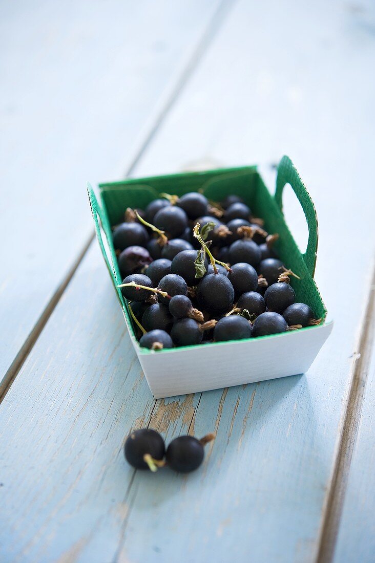 Blackcurrants in a cardboard punnet