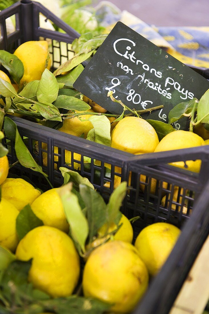 Fresh lemons on a market stall (Antibes, France)