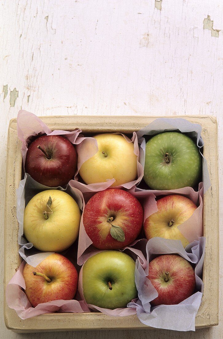 Various types of apples in a box (overhead view)