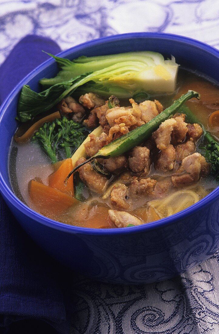 Noodle soup with chicken and vegetables