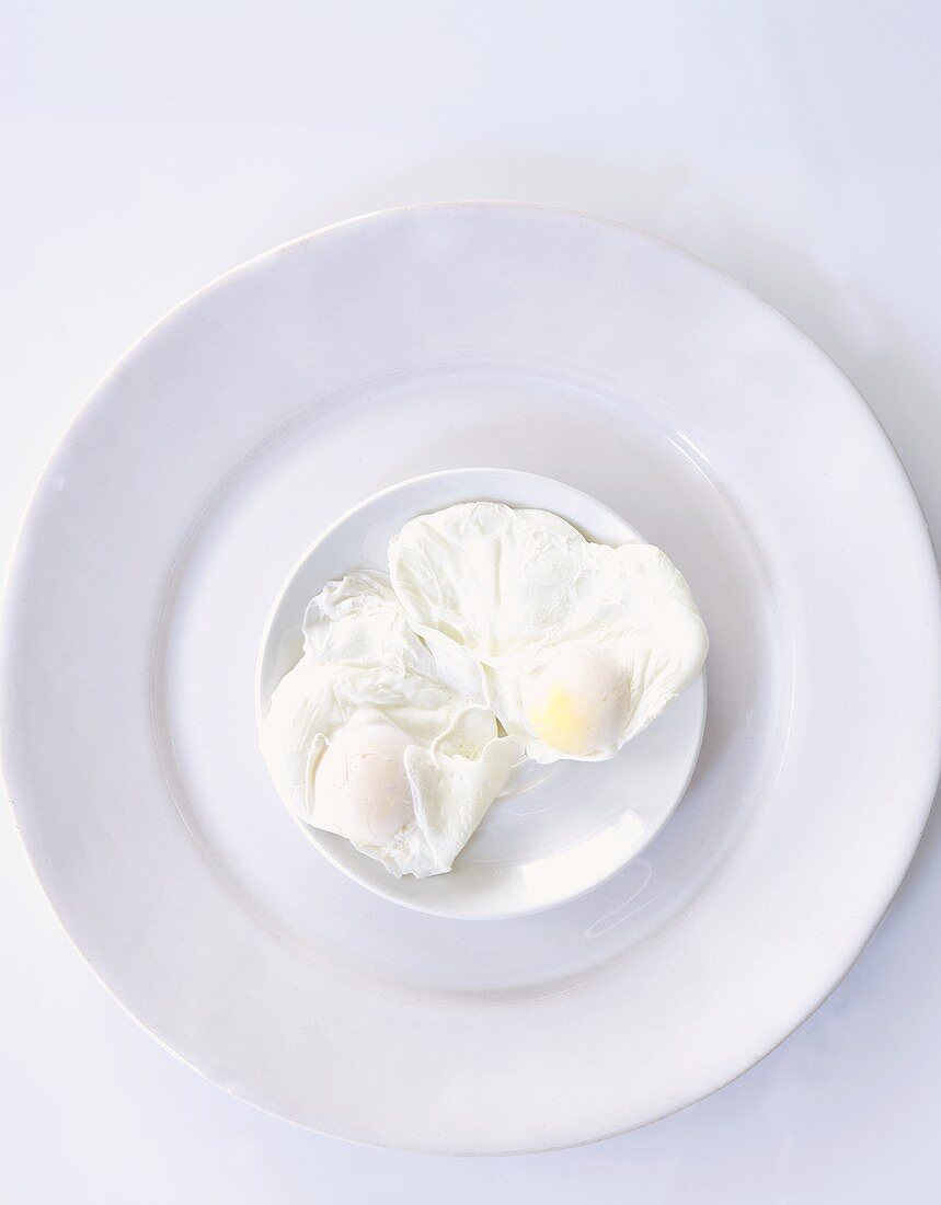 Poached eggs from above