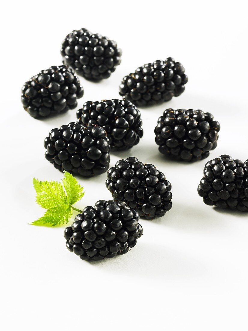 Several blackberries with leaf