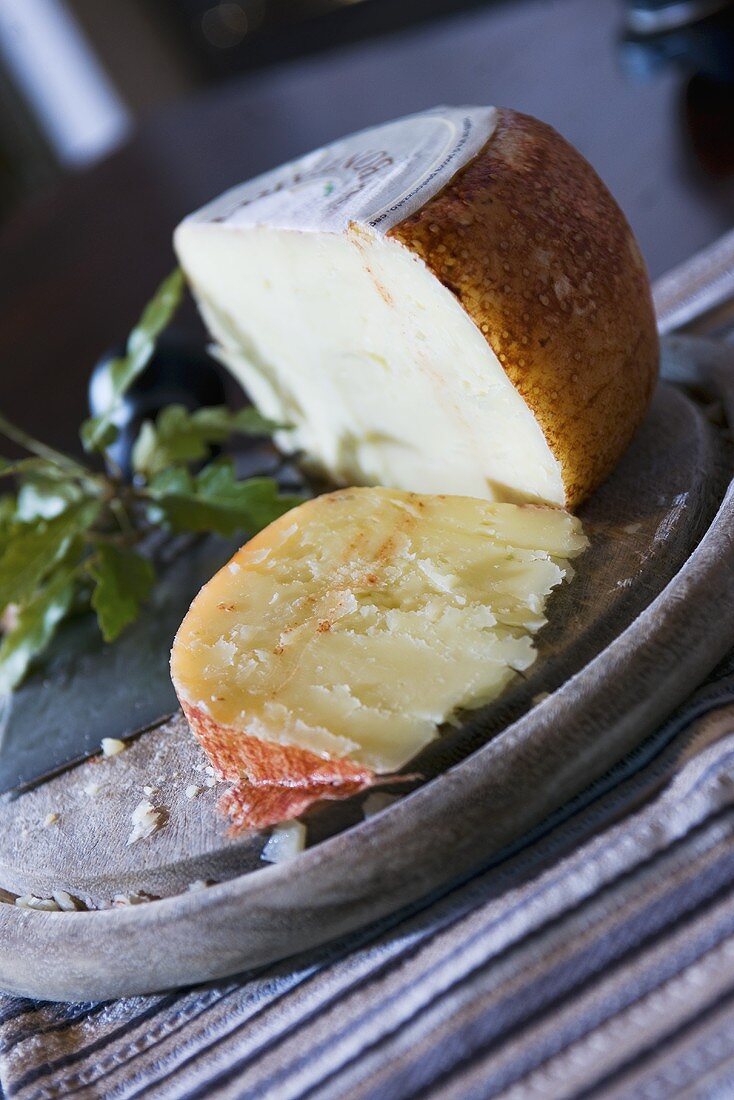 Hard cheese on wooden board