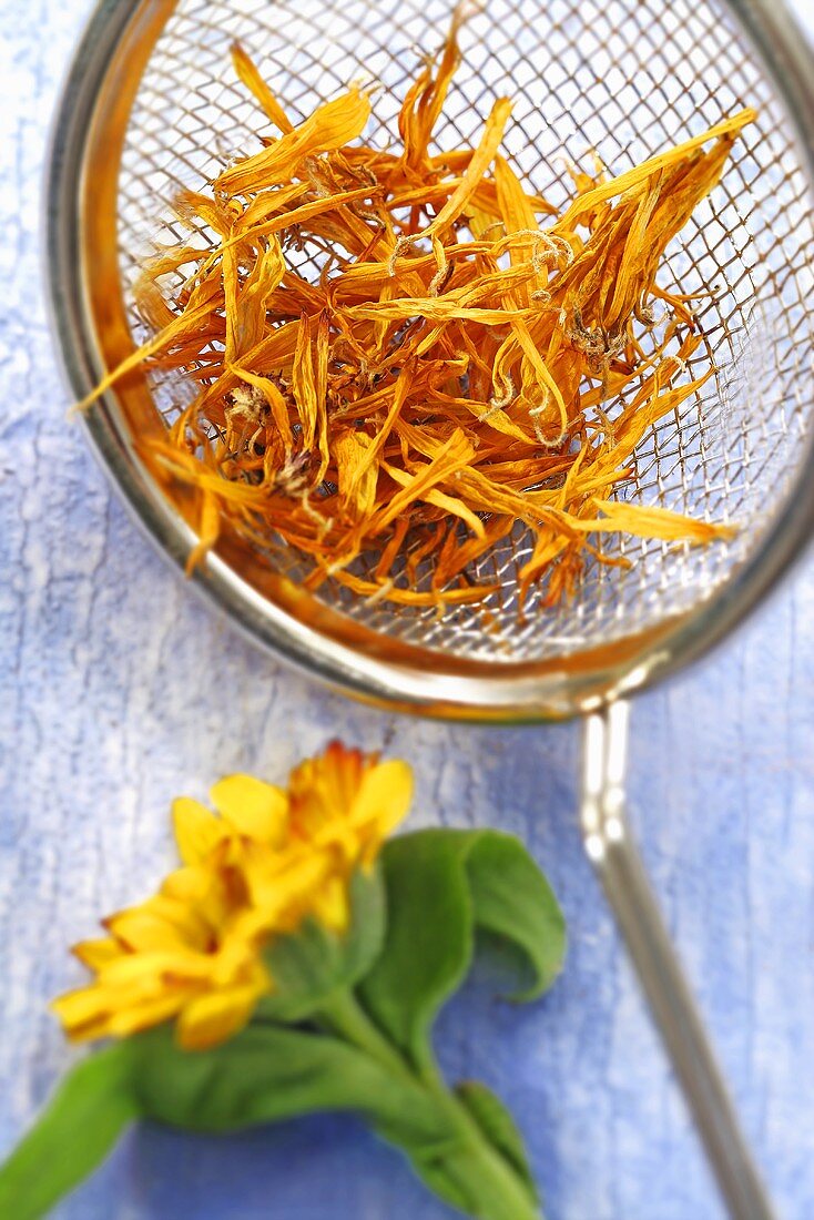 Marigold flowers, fresh and dried