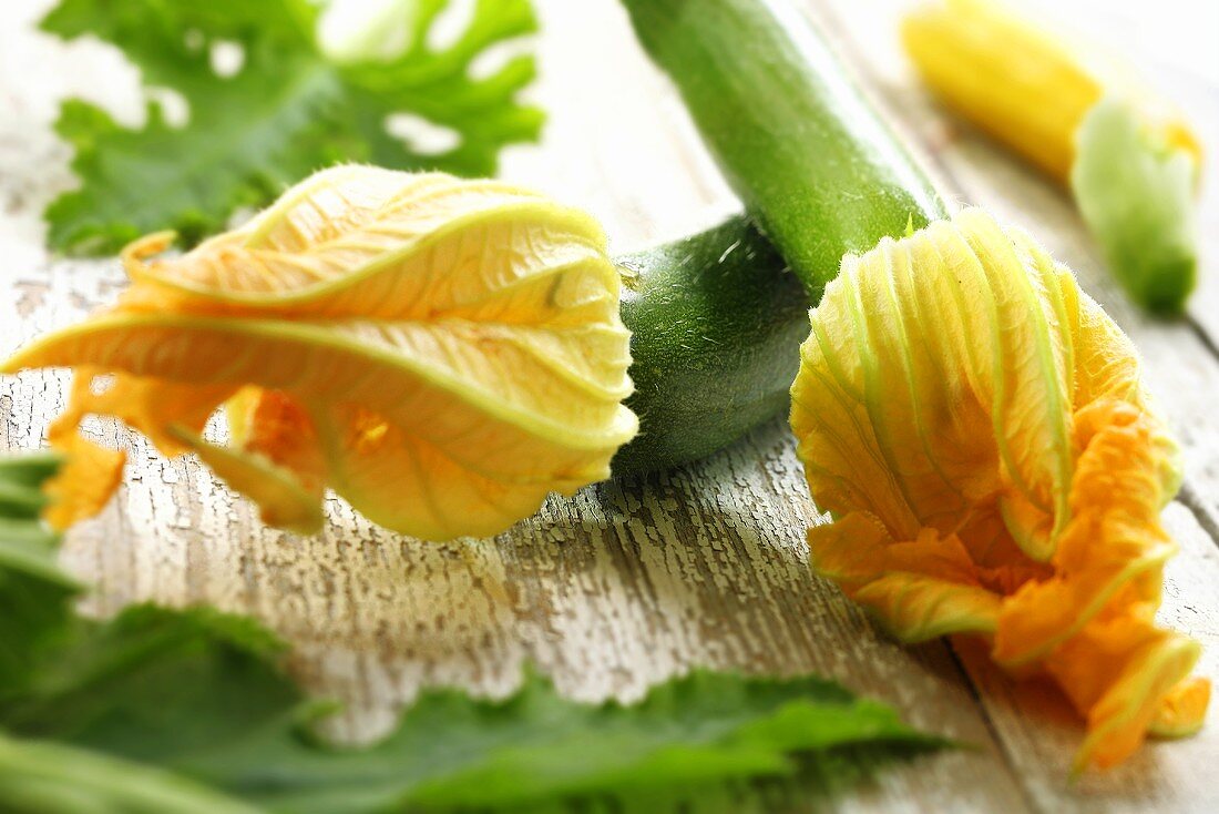 Courgette flowers