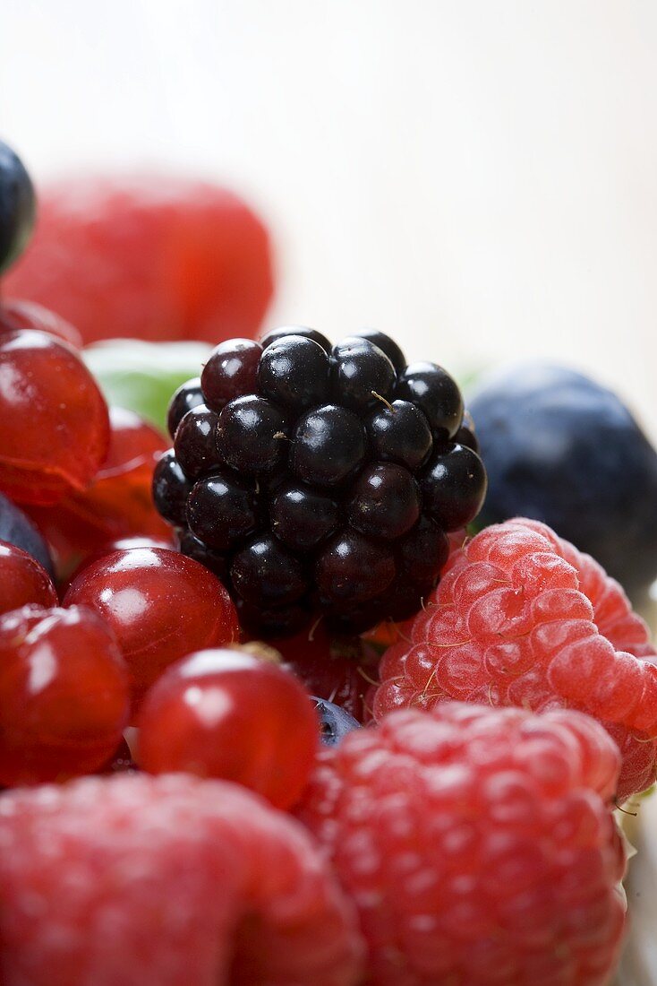 Fresh berries (close-up)