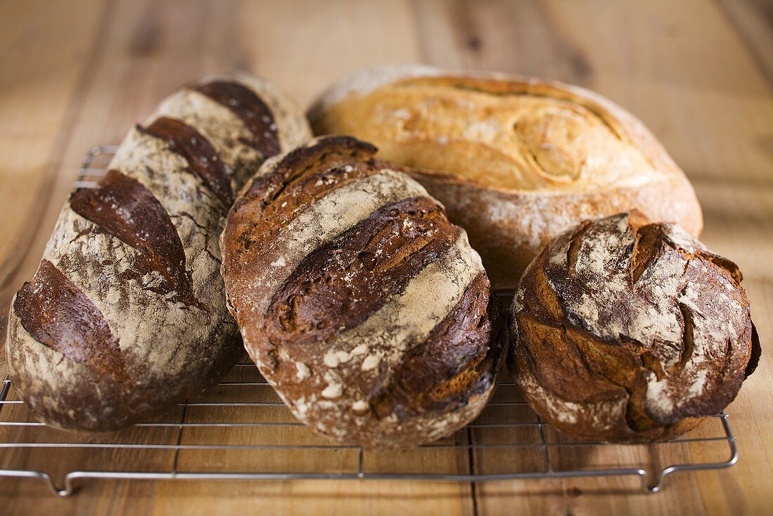 Four loaves of bread