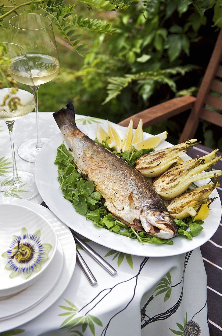 Kräuter-Lachsforelle mit Fenchel und Rucola