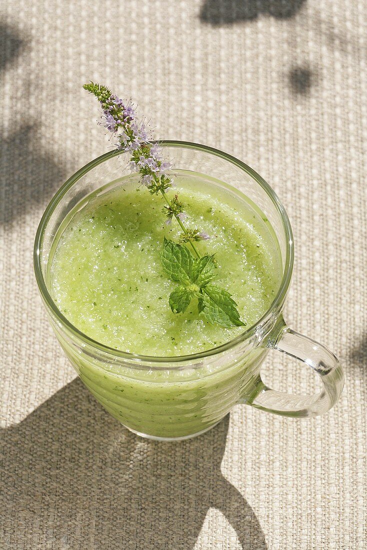 Cold cucumber soup with mint in glass