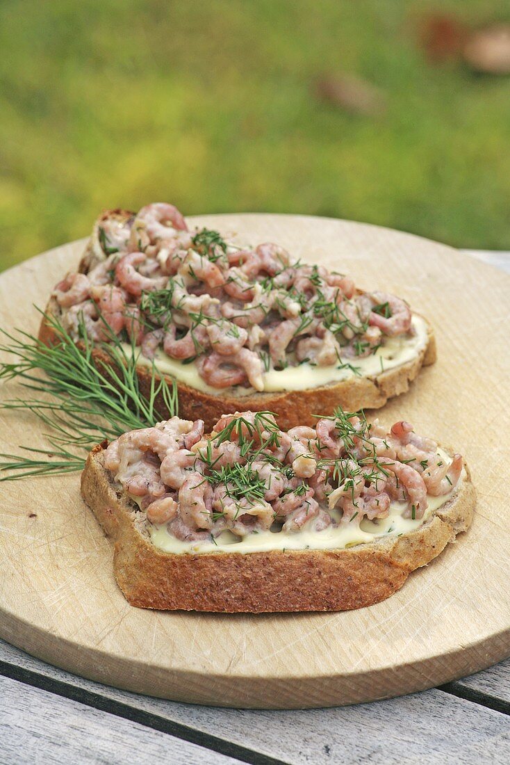 Belegte Brote mit Krabben, Mayonnaise und Dill