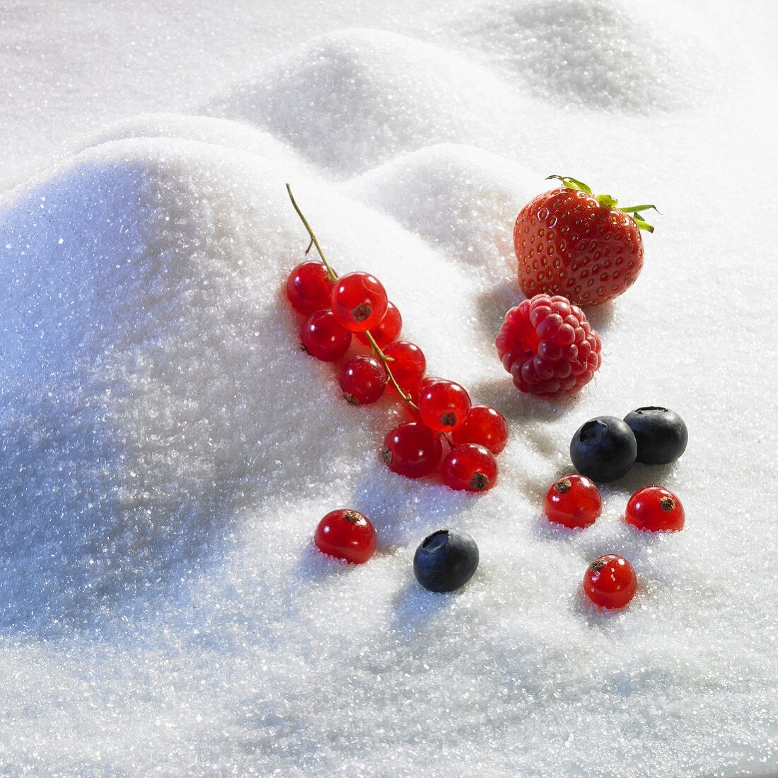 Sugar landscape with assorted berries