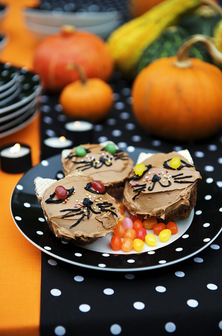 Cat cupcakes with jelly beans for Halloween