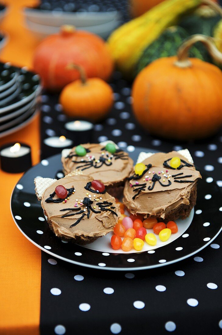 Katzen-Cupcakes mit Jelly Beans für Halloween