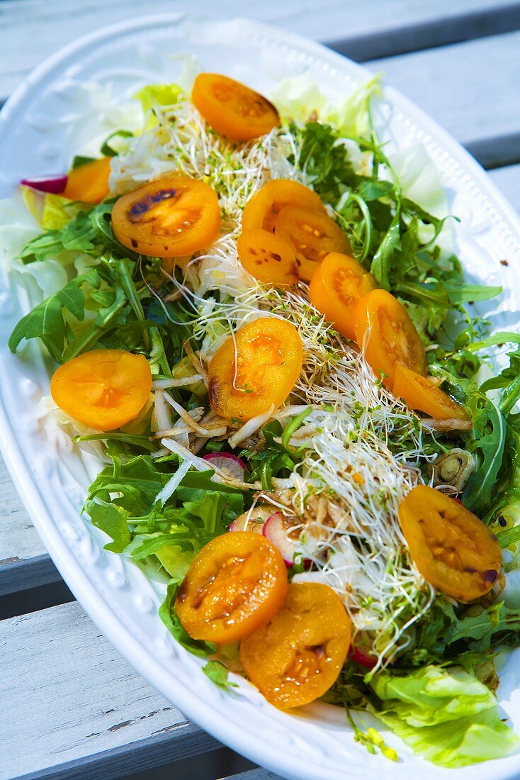 Salad leaves with yellow tomatoes, sprouts, rocket & radishes