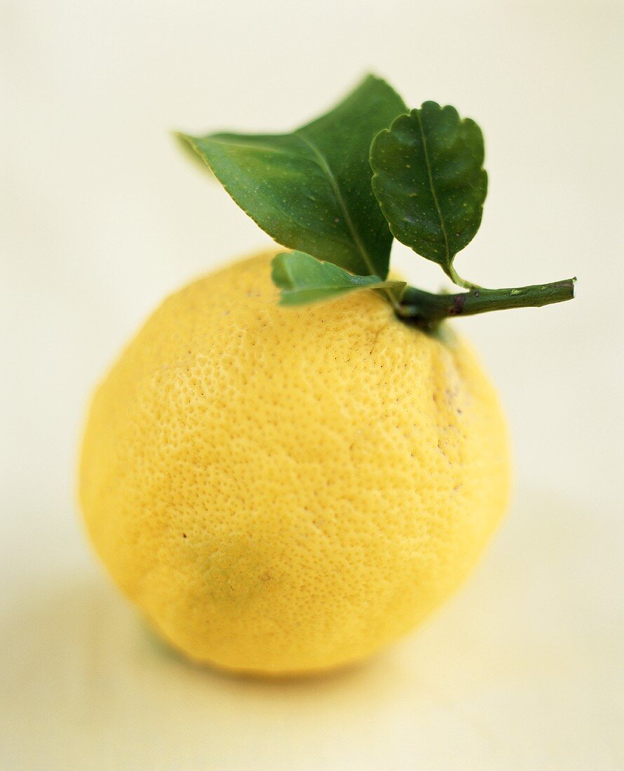 A lemon with leaf