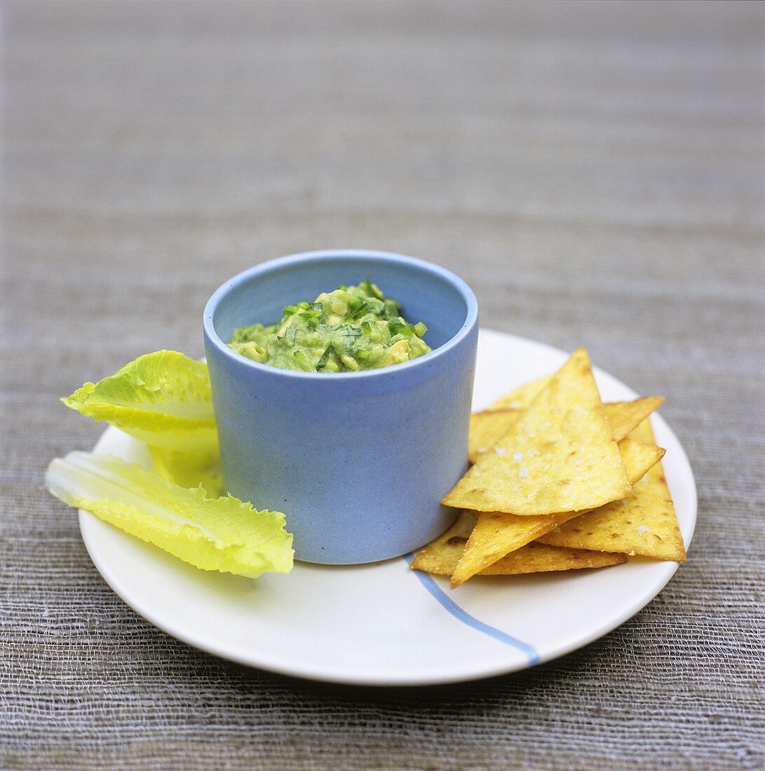 Guacamole mit Tortillachips