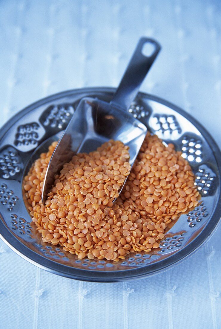 Red lentils in bowl and scoop