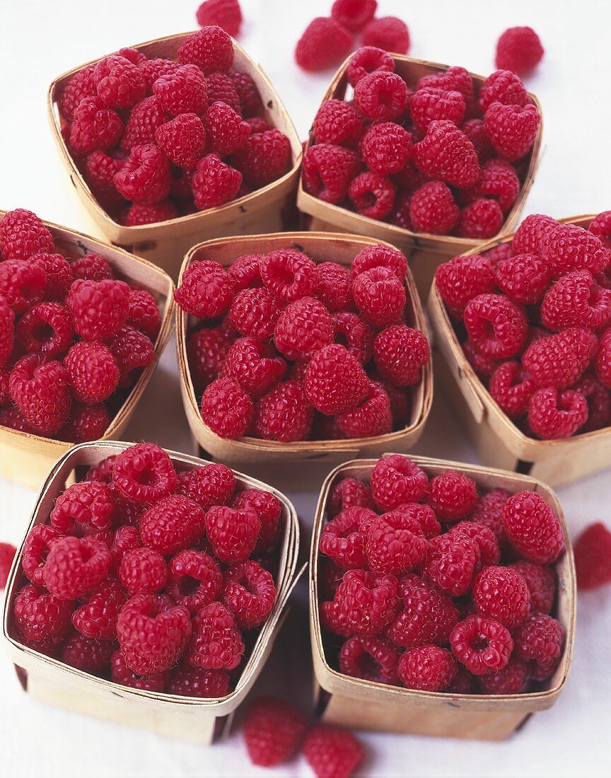 Fresh raspberries in punnets