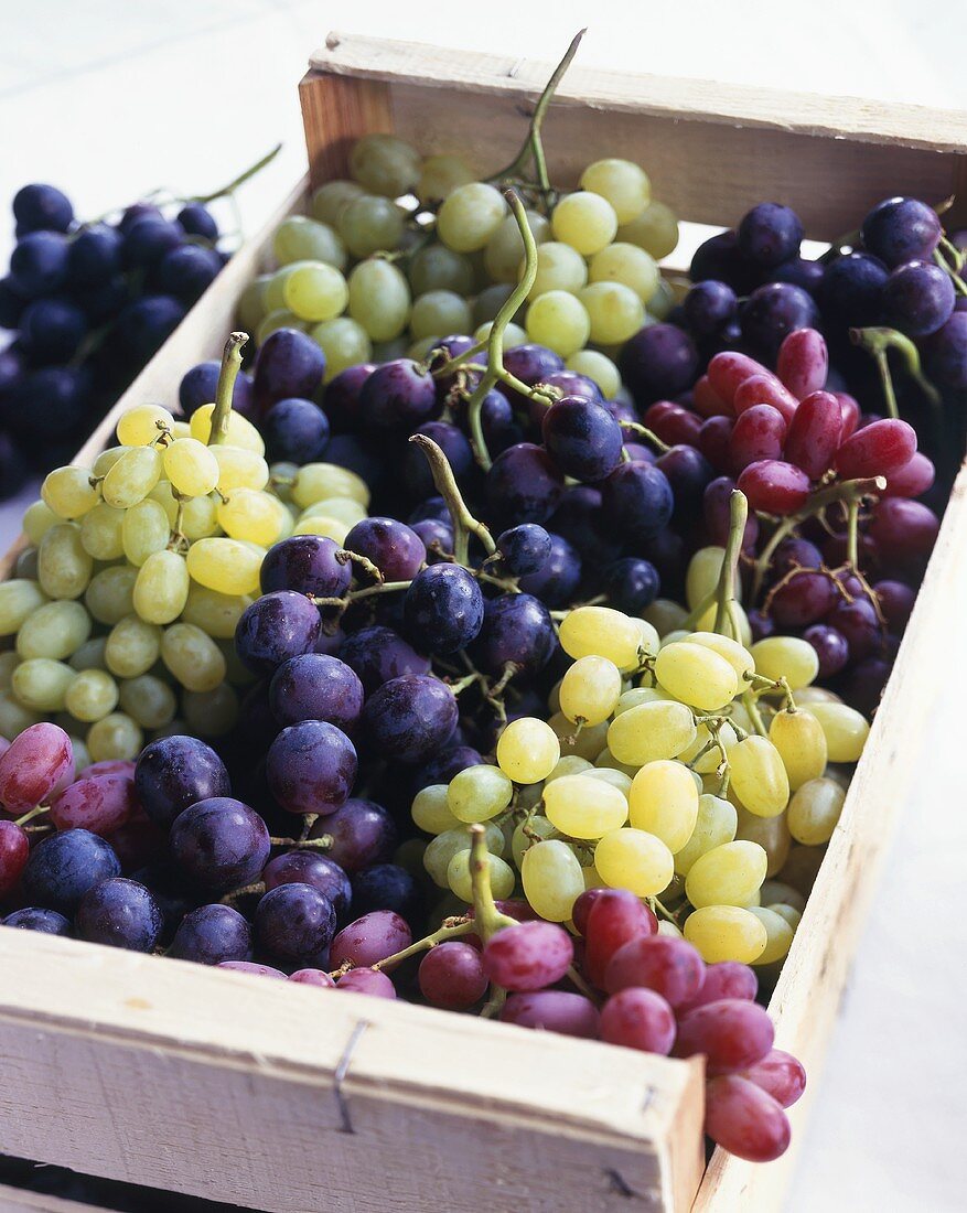 Assorted grapes in a crate
