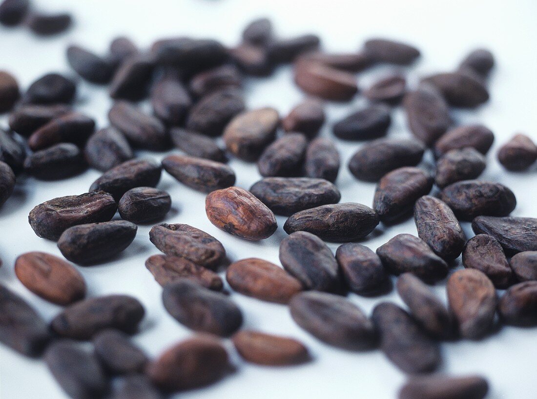 Cocoa beans