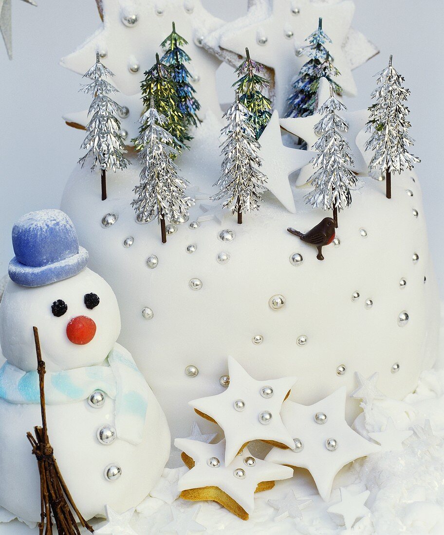 Decorated Christmas cake, star biscuits, snowman