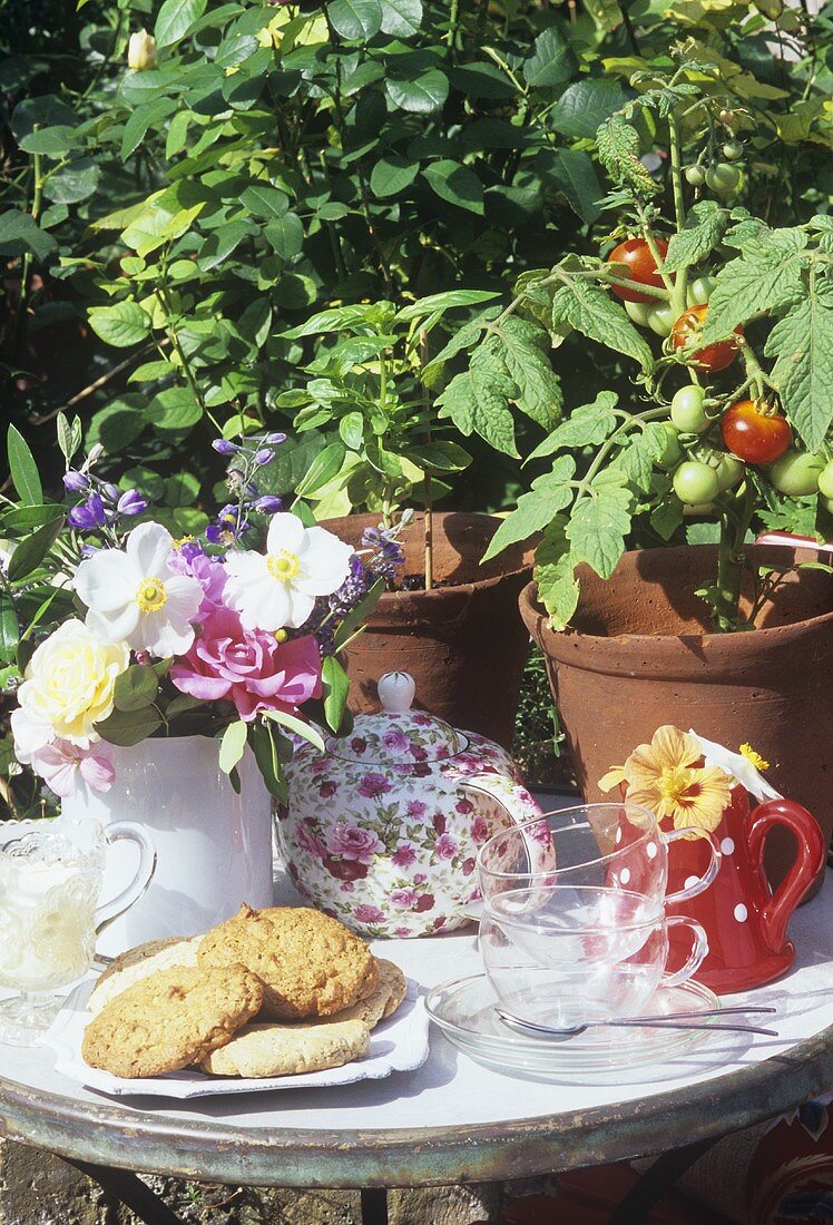 Teegeschirr, Gebäck, Blumen & Tomatenpflanzen auf Gartentisch