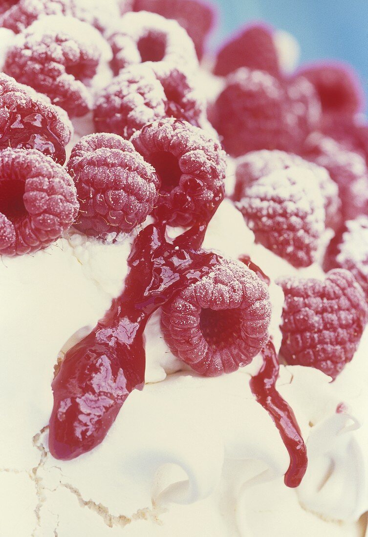 Meringue cake with raspberries (detail)