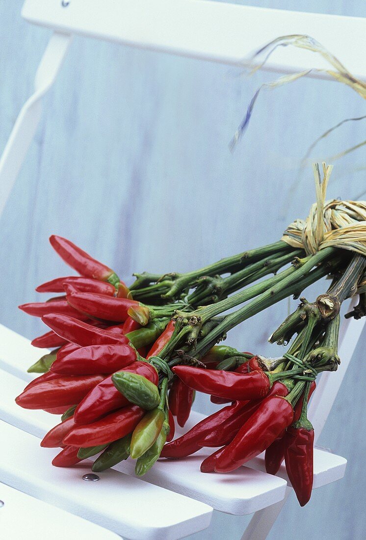 Chillischoten auf einem weißem Gartenstuhl