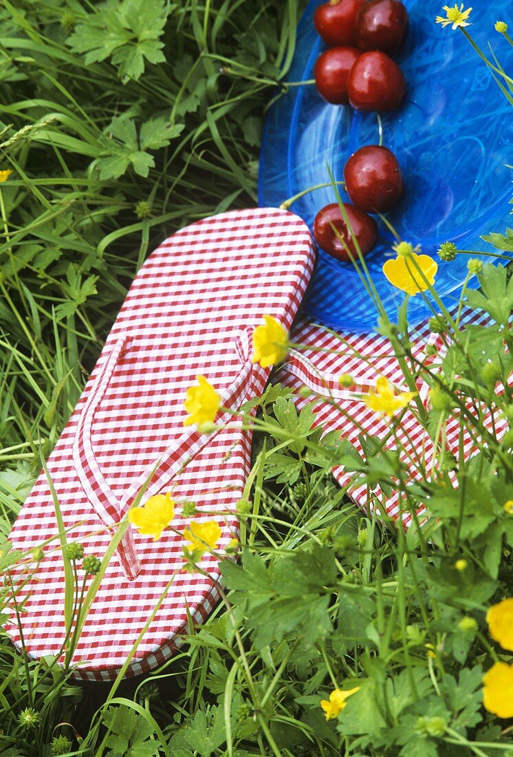 Flip-Flops mit Kirschen im Gras