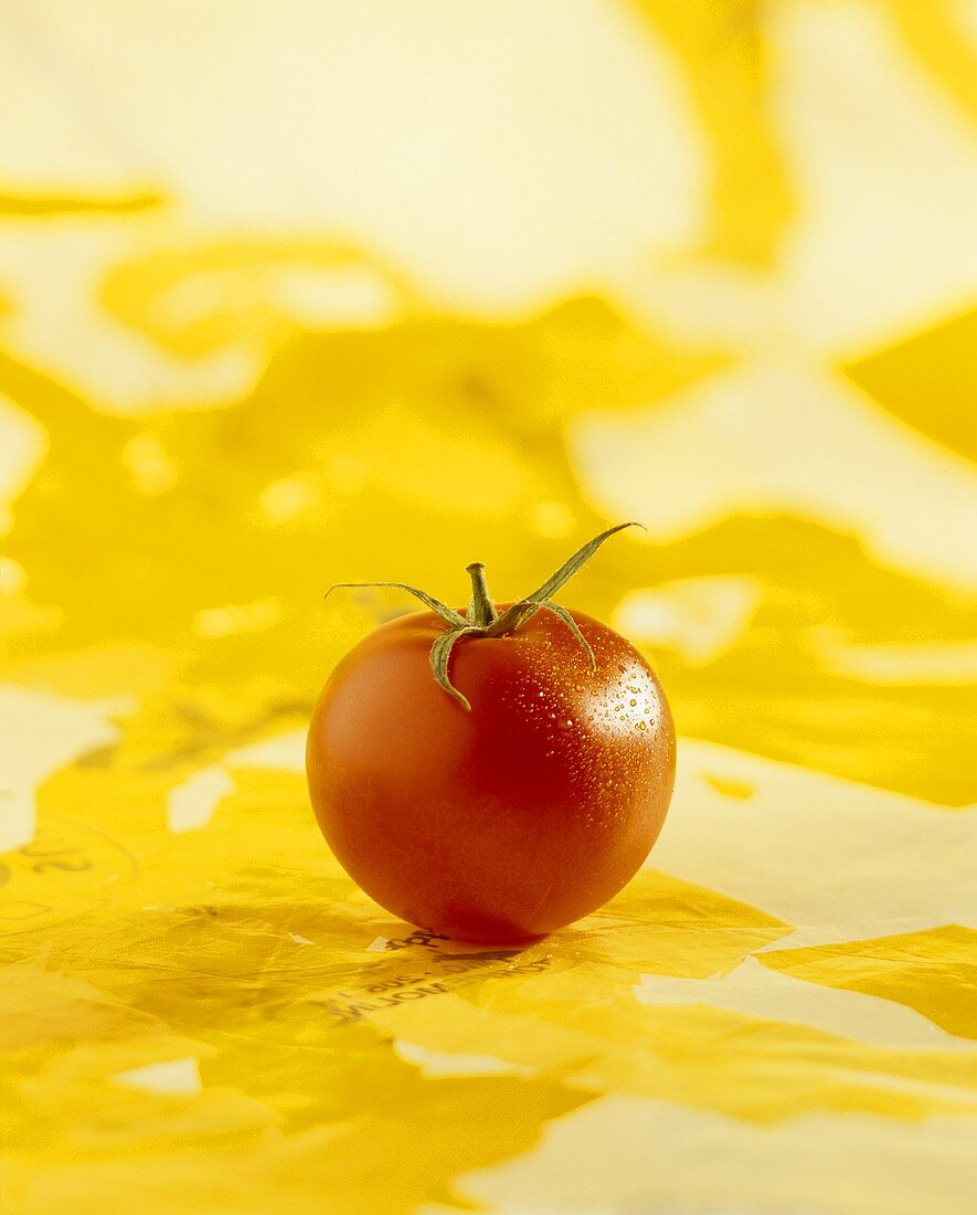 Tomate mit Wassertropfen