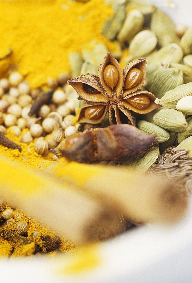 Various spices (star anise, lemon grass, cardamom etc.)