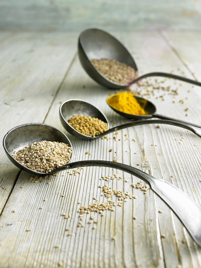Spices in old ladles