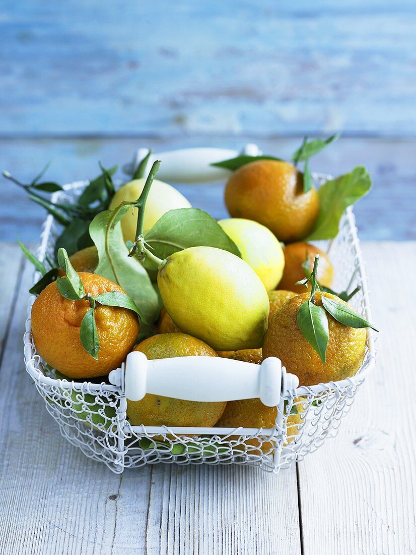 Drahtkörbchen mit Satsumas und Zitronen