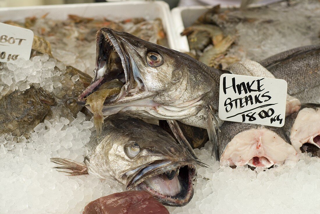 Fish (hake etc.) on a market stall
