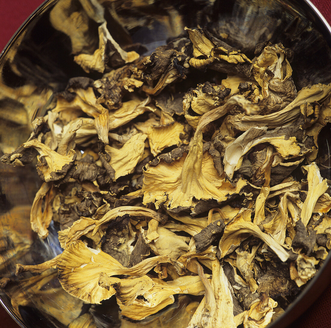 Dried chanterelles (Cantharellus lutescens)