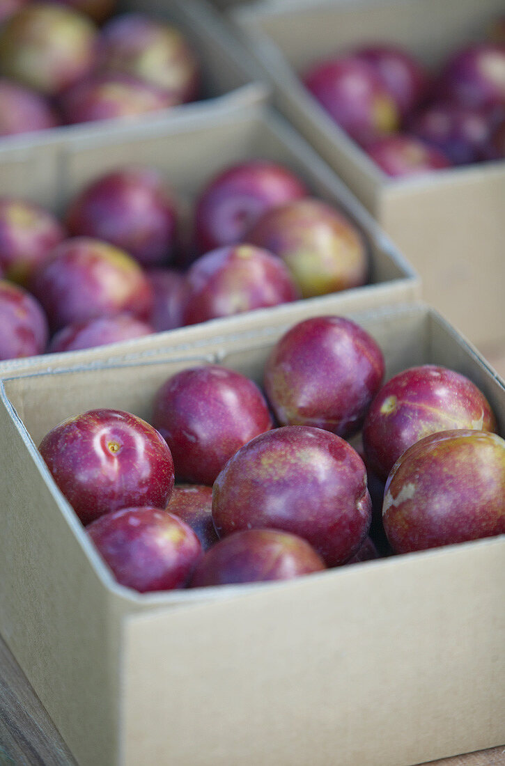 Plums for sale