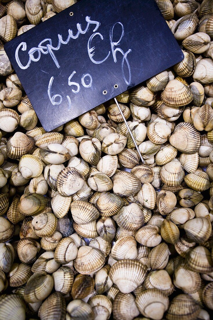 Cockles on a market stall in Libourne, Bordeaux, France