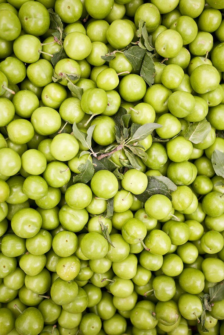 Green plums on a market stall, Turkey