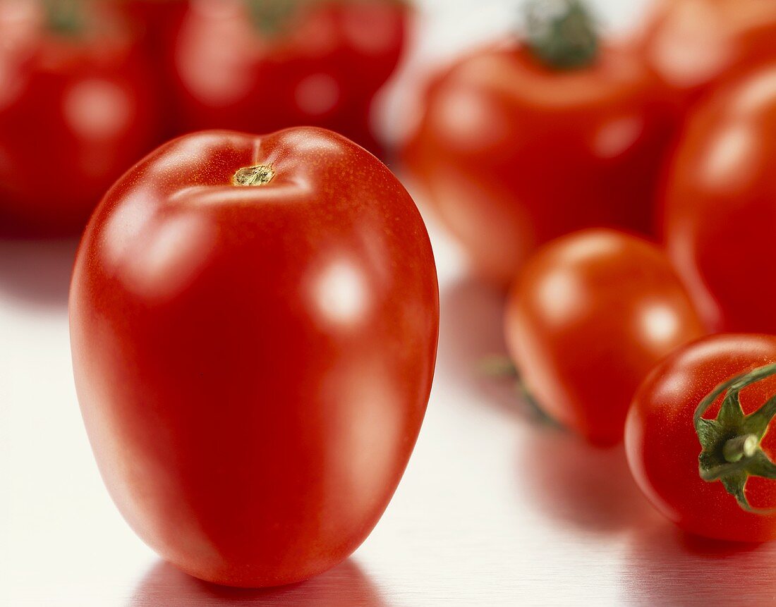 Tomaten, im Vordergrund eine Eiertomate