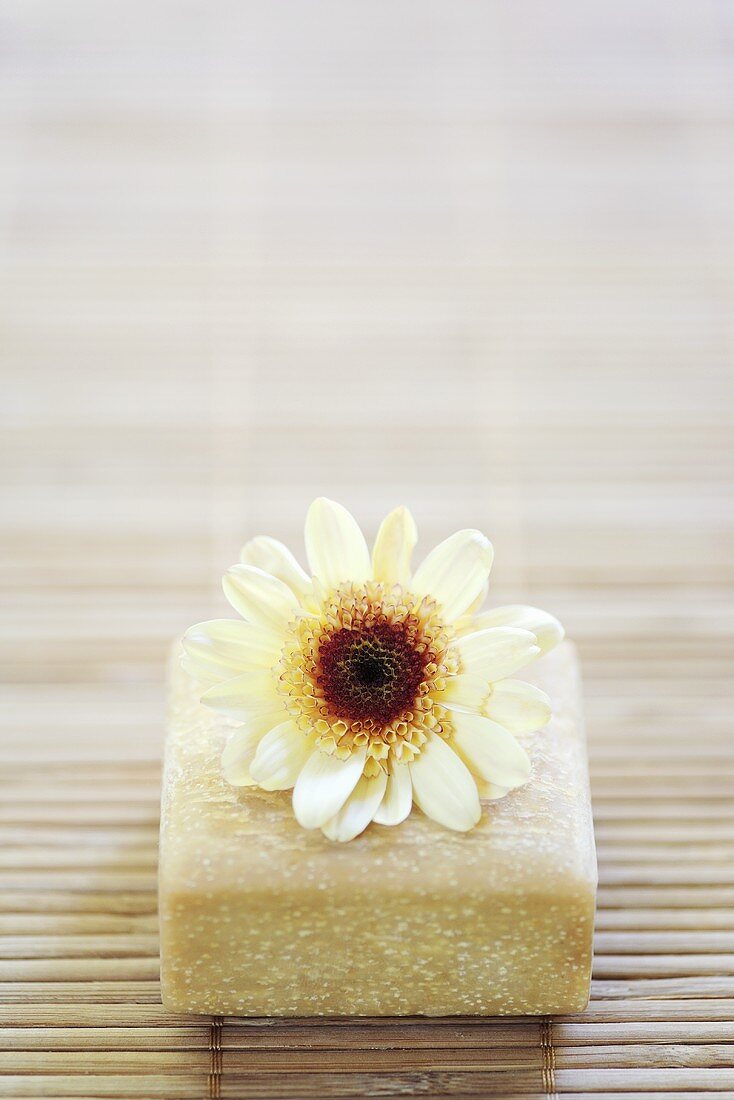 Chrysanthemum flower on a bar of soap