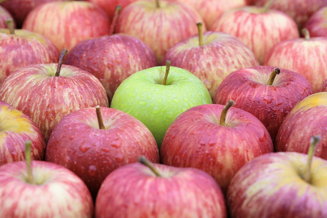 Ein grüner Apfel (Granny Smith) zwischen roten (Gala Royal)