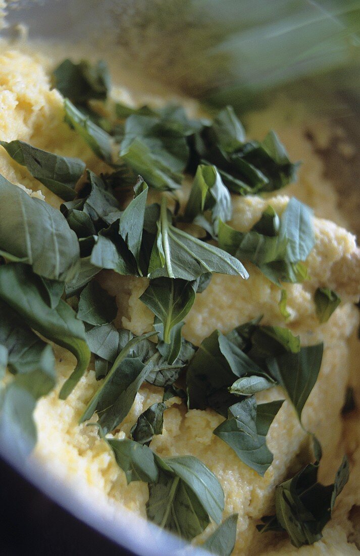 Polenta mit frischem Basilikum