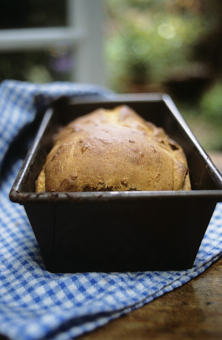 Home-baked bread