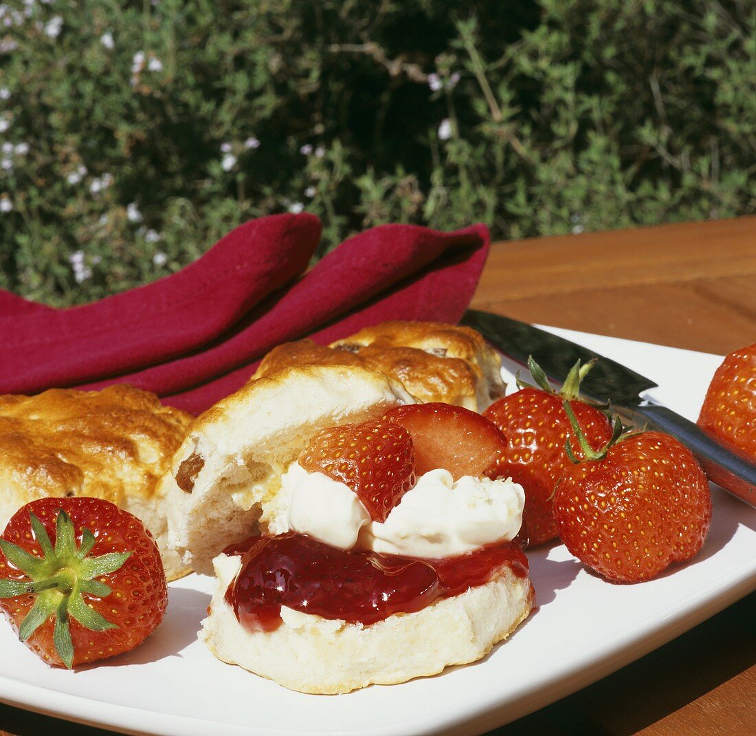 Scones with strawberry jam, clotted cream and strawberries