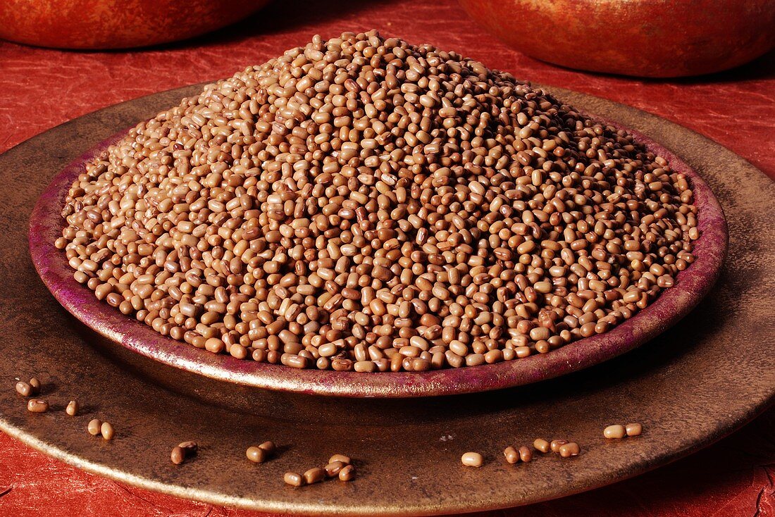 Brown beans in a dish