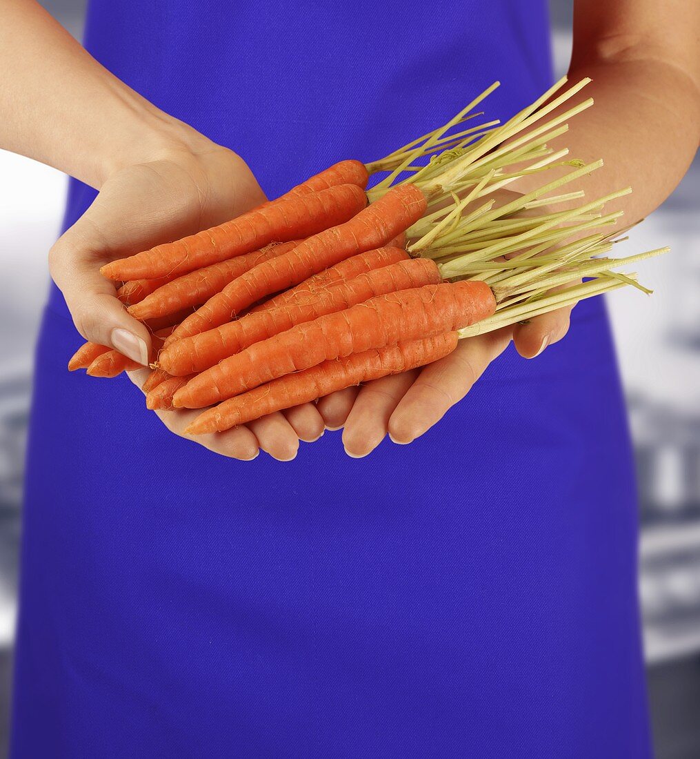 Hands holding carrots